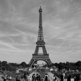 Paris black and white wallpaper