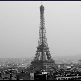 Paris black and white wallpaper