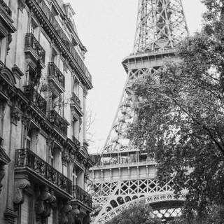 Paris black and white wallpaper
