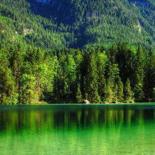 Mountain lake summer wallpaper