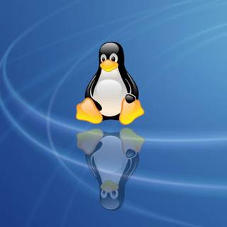 2023 Linux Tux HD wallpaper