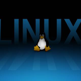 2023 Linux Tux HD wallpaper