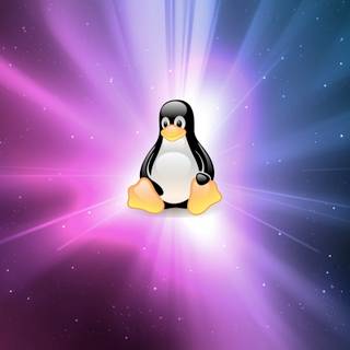 2023 Linux Tux HD wallpaper