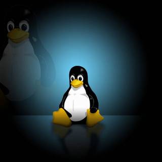 2023 Linux Tux HD wallpaper