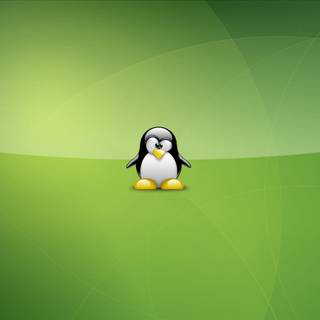 2023 Linux Tux HD wallpaper