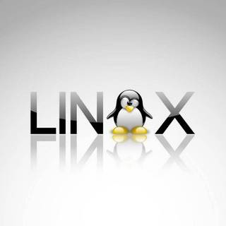 2023 Linux Tux HD wallpaper