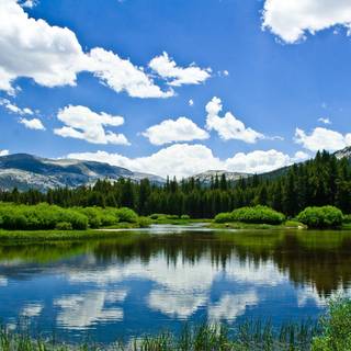 Mountain lake summer wallpaper