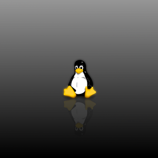 2023 Linux Tux HD wallpaper