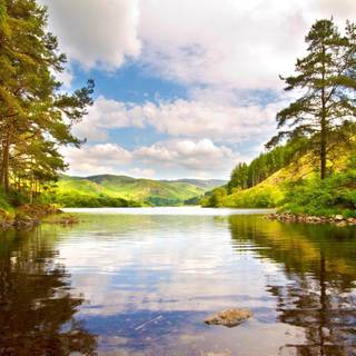 Mountain lake summer wallpaper