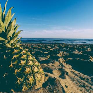 Summer vibes computer wallpaper