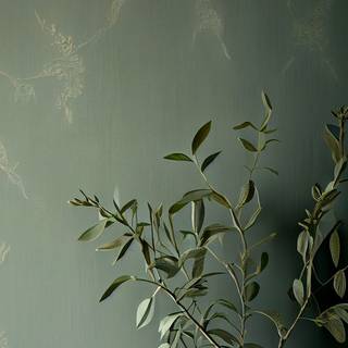 2023 green aesthetic wallpaper