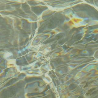 2023 green aesthetic wallpaper