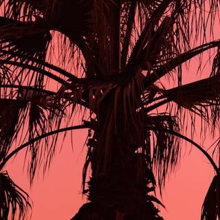 Summer vibes computer wallpaper