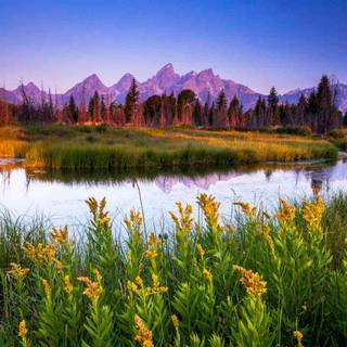 National Park summer wallpaper