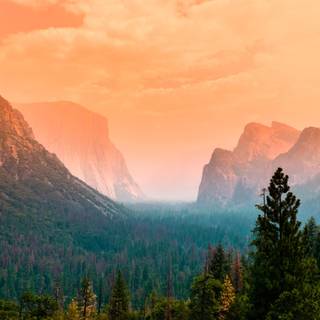 National Park summer wallpaper