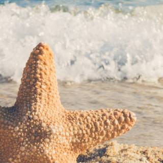 Cute summer phone wallpaper