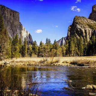 National Park summer wallpaper