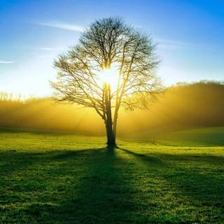 Cool summer sun wallpaper