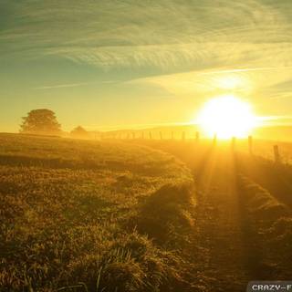 Cool summer sun wallpaper