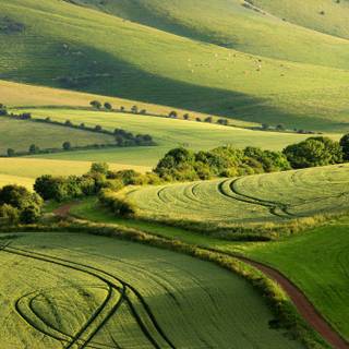 National Park summer wallpaper