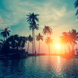 Cool summer sun wallpaper