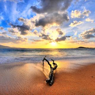 Cool summer sun wallpaper