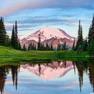 National Park summer wallpaper