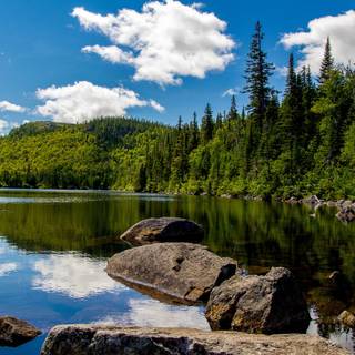 National Park summer wallpaper