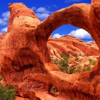 National Park summer wallpaper