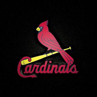 St Louis Cardinals logo wallpaper