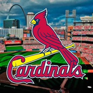 St Louis Cardinals logo wallpaper