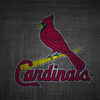 St Louis Cardinals logo wallpaper