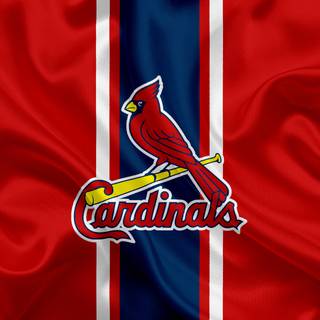 St Louis Cardinals logo wallpaper