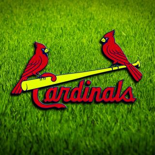 St Louis Cardinals logo wallpaper