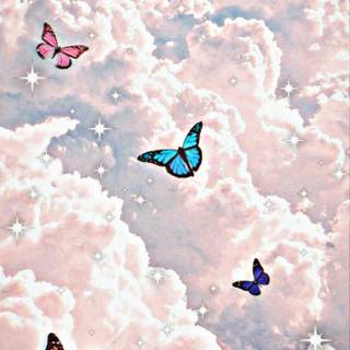 Sweet butterfly wallpaper