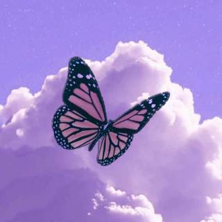 Sweet butterfly wallpaper