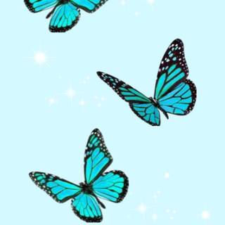 Sweet butterfly wallpaper