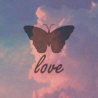 Sweet butterfly wallpaper