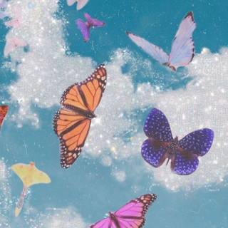 Sweet butterfly wallpaper