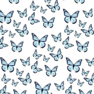 Sweet butterfly wallpaper