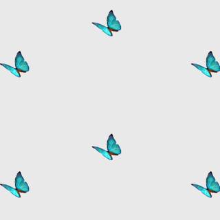 Sweet butterfly wallpaper