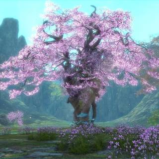 Cherry Blossom fantasy wallpaper