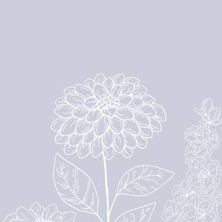 Spring minimalist purple wallpaper