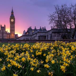 London street spring wallpaper