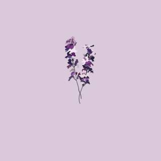 Spring minimalist purple wallpaper