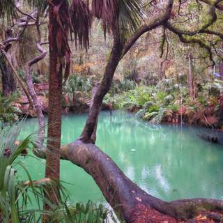 Green springs wallpaper