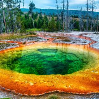 Green springs wallpaper