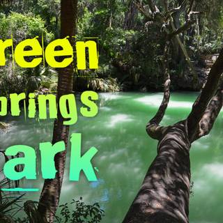 Green springs wallpaper