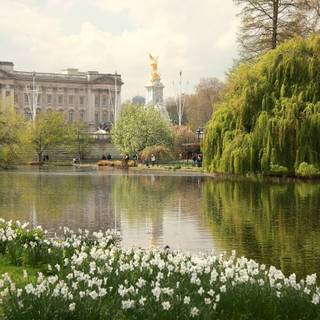 London street spring wallpaper