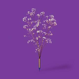 Spring minimalist purple wallpaper